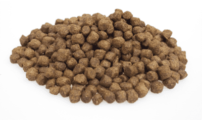 Super Premium mini lam & rijst