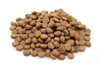 Super Premium Puppy Large Breeds