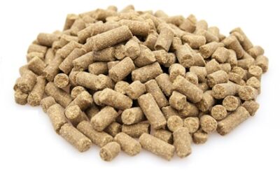 Super Premium excellent geperst 100% graanvrij eend & aardappelen